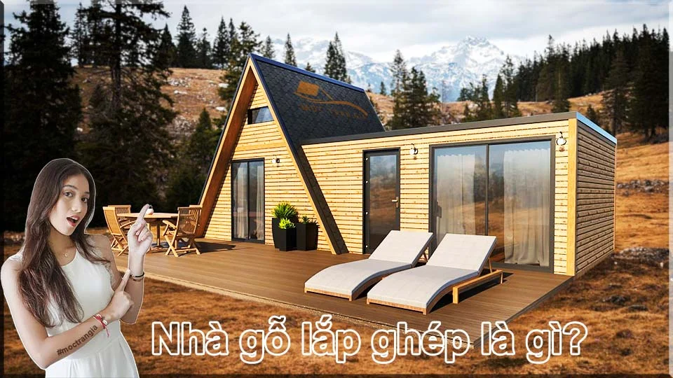 Nhà gỗ lắp ghép là gì? Những ưu điểm khi xây dựng nhà lắp ghép 1