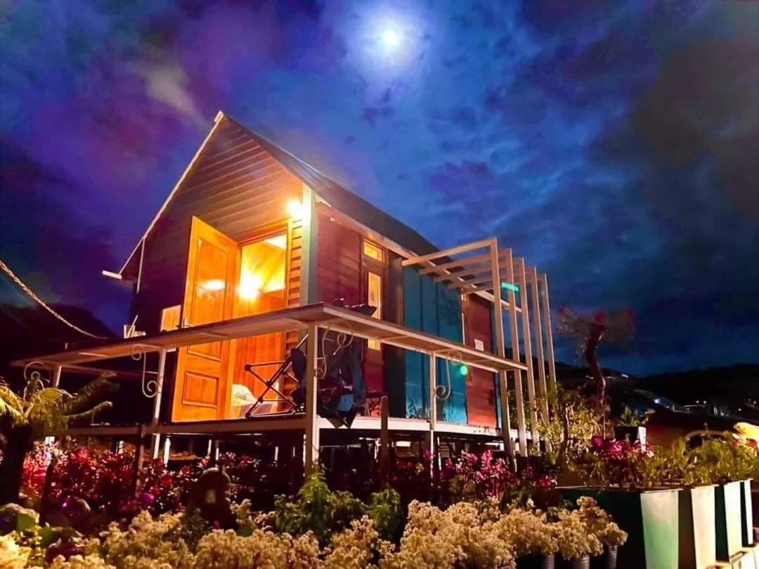 Những loại gỗ nào đắt nhất trong thi công nhà gỗ 3