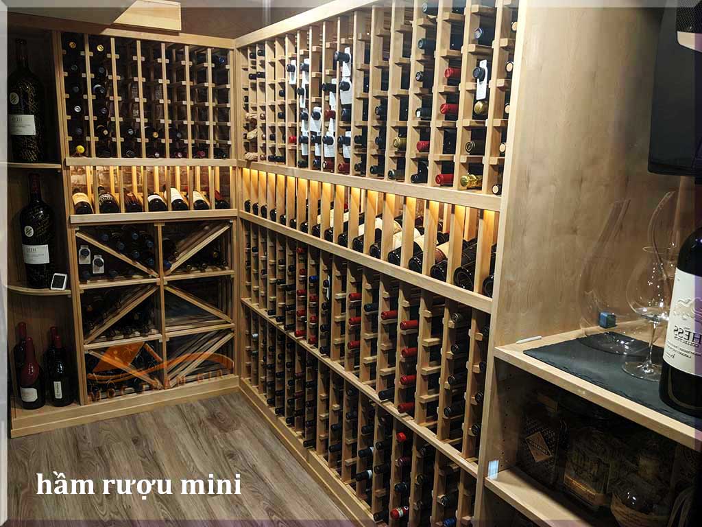 Mẫu hầm rượu đẹp mini cho căn hộ chung cư